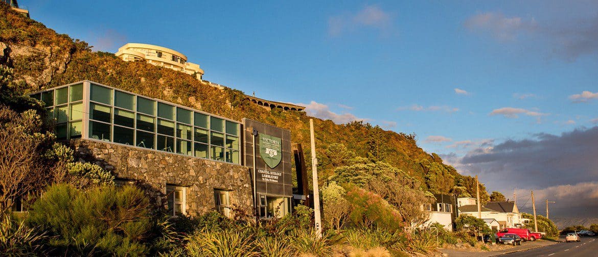 <em>Victoria University Coastal Ecology Lab</em>