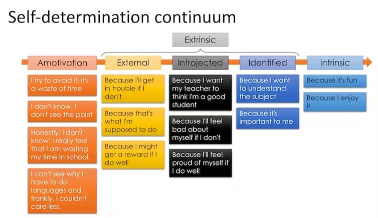 The continuum of motivation. Abigail Parrish, CC BY-NC-ND