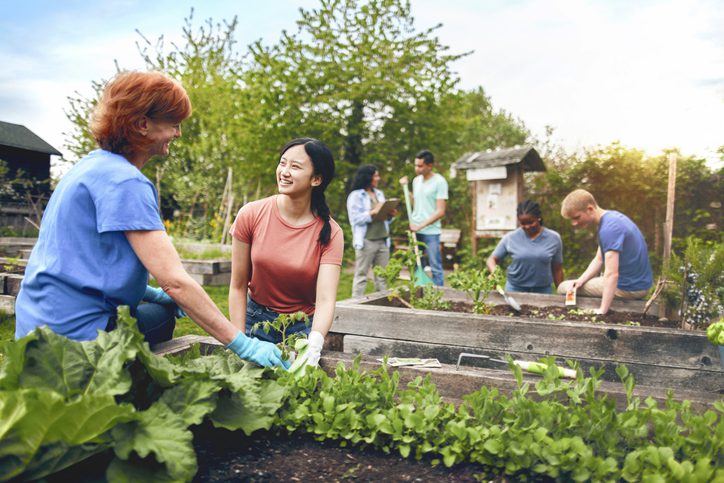 12 key steps to establish a thriving community garden