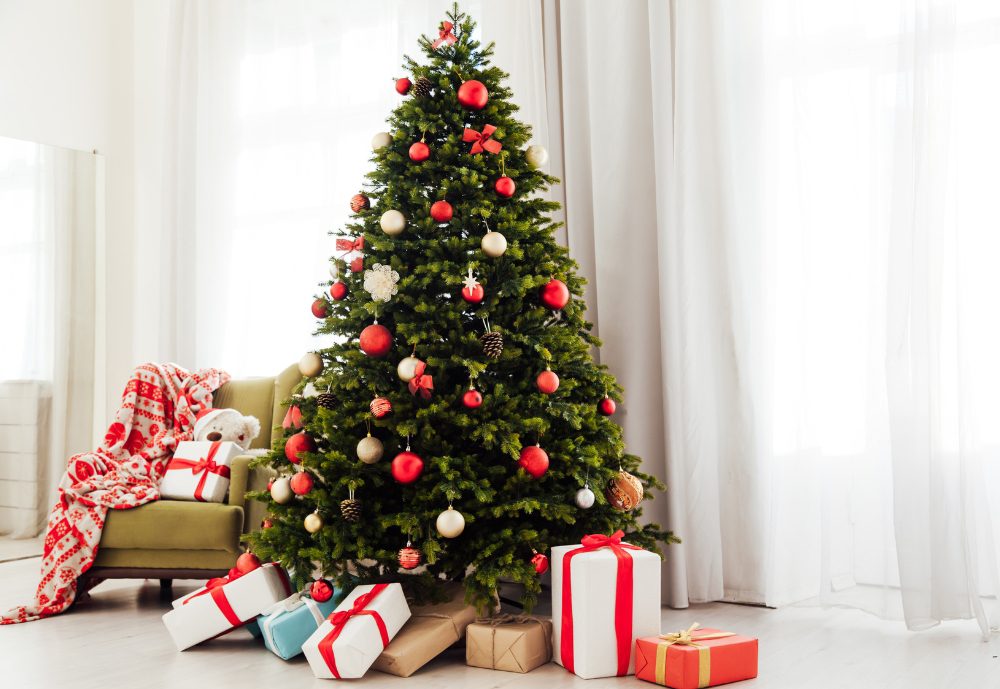 How to keep your Christmas tree looking fresh for weeks