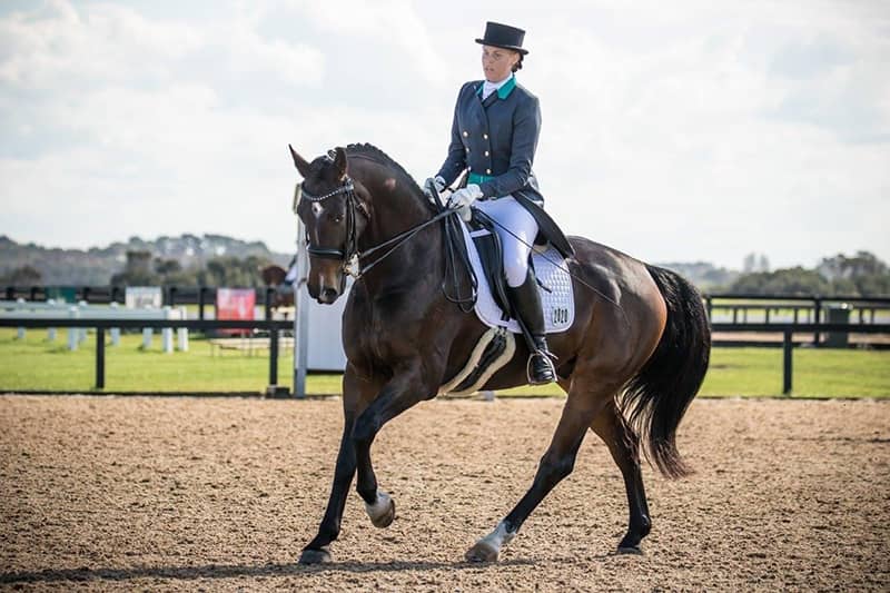 Hacia competing in the Boneo Park dressage event in 2017.