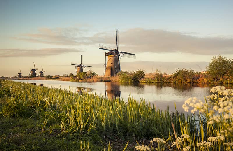 The world-famous windmills in Kinderdijk in The Netherlands.