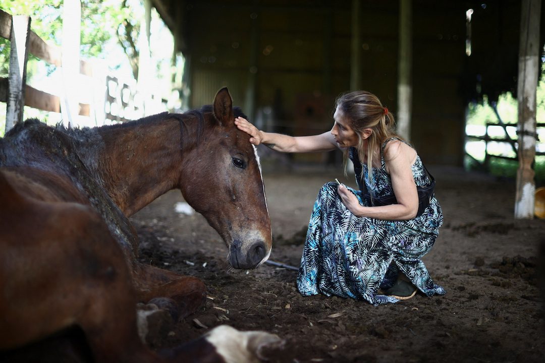 Lorena Melantoni pets a rescued horse at her sanctuary "Let's dream of hope" where mistreated horses that used to pull recycling carts, or were used for sports, have a second chance of life, in La Plata, Buenos Aires, Argentina December 2, 2023. REUTERS/Tomas Cuesta