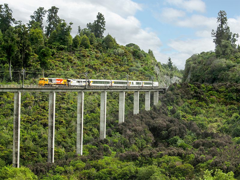 Traverse the impressive feat of engineering that is the Hāpuawhenua Viaduct on the Northern Express.
