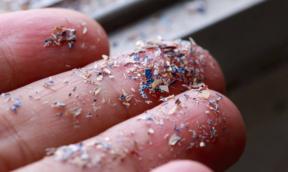 Amount of Microplastics in Our Brains Is Increasing, Study Suggests