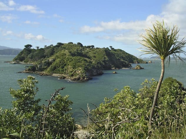 It's almost time to enjoy Matiu-Somes Island again. Seen here from Mokopuna. Photo Andrew Morrison