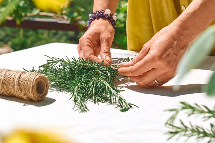 Image of rosemary