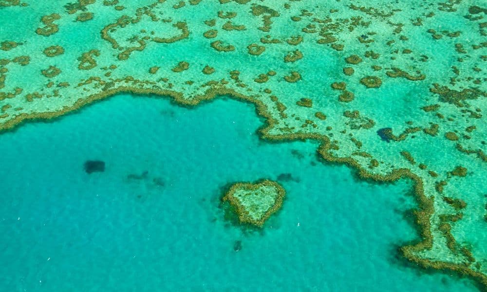 Aerial photo of Australia's Great Barrier Reef. File Photo