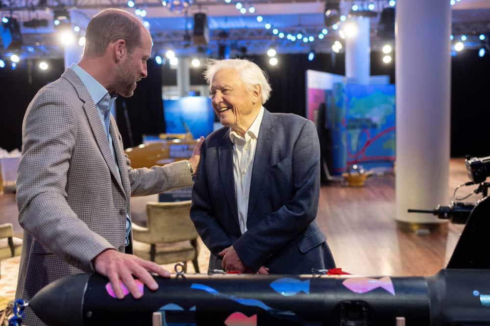 Britain's Prince William and biologist and broadcaster David Attenborough discuss his new documentary 'Ocean with David Attenborough', ahead of its streaming platform release to coincide with World Oceans Day, in London, Britain, May 6, 2025. Kensington Palace/Handout via REUTERS    