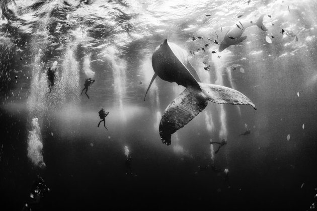 Image: Anuar Patjane/National Geographic Photo Contest 2015
