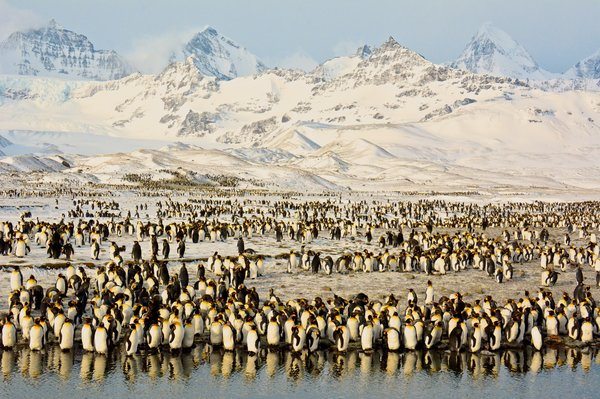 Peaks & Penguins in Antarctic Sunrise by Shivesh R.