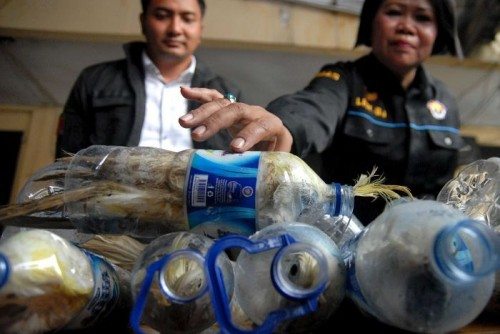Photo: Reuters, Antara Foto/Risyal Hidayat