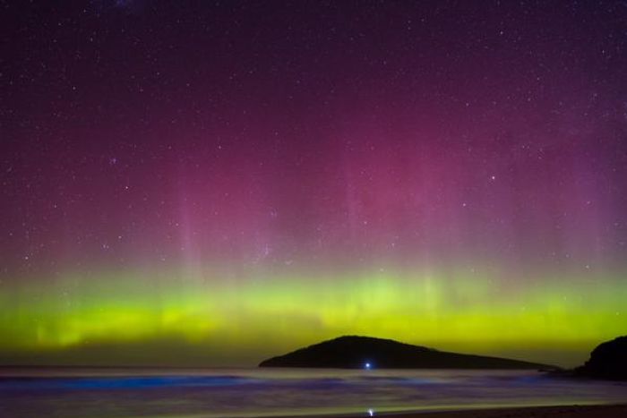 Calverts Beach, Tasmania. Image: Twitter: @lovethywalrus