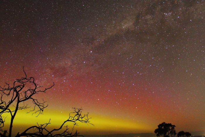 White Hills in Northern Tasmania. Image: ABC Via Sam Kelly 