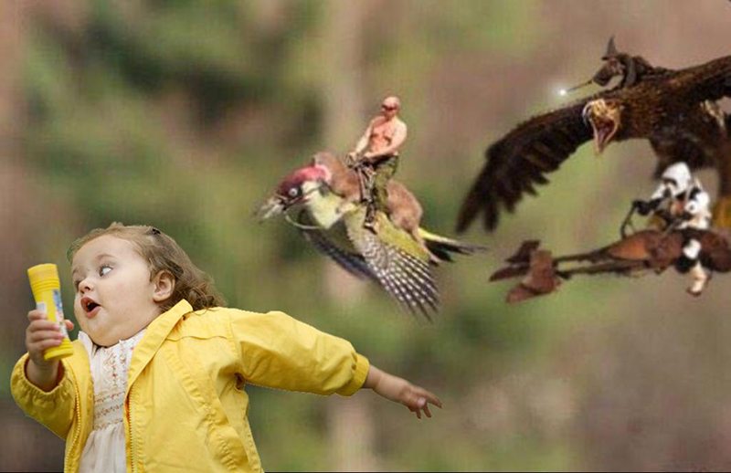 The best #WeaselPecker memes: Weasel photographed riding a woodpecker through London