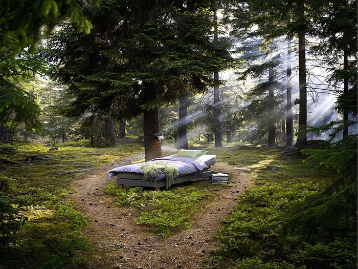 Natural surroundings linked to better sleep