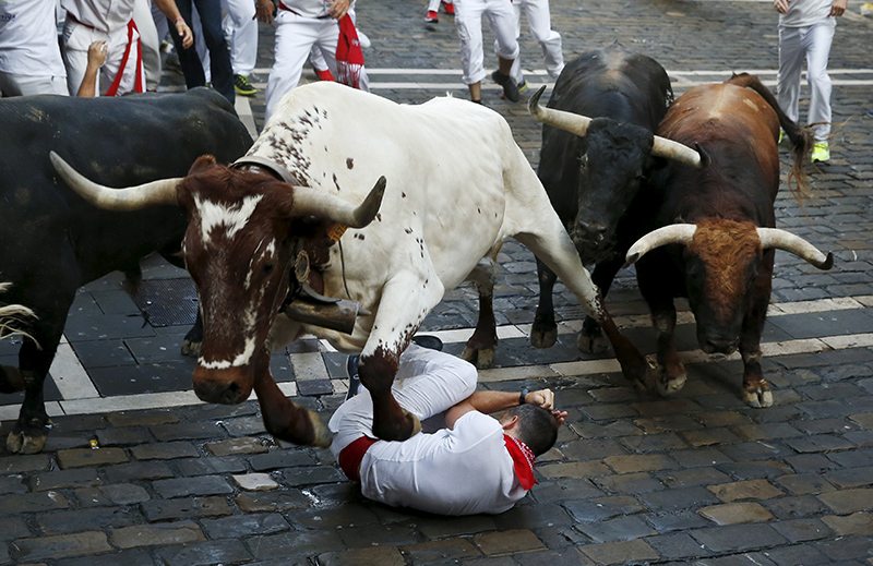 An Australian man has taken his chances with the bulls of Pamploma and lost, after being gored in the groin