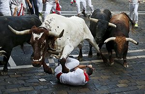 An Australian man has taken his chances with the bulls of Pamploma and lost, after being gored in the groin.