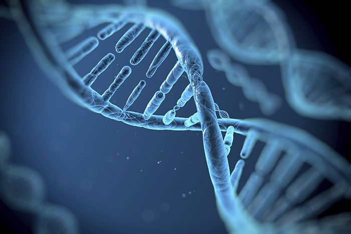 2015 Nobel Chemistry Prize Honours Scientists for DNA Repair