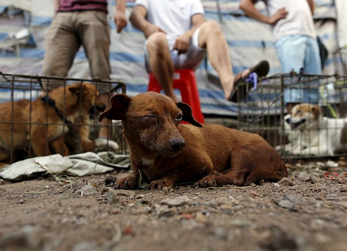 Reuters