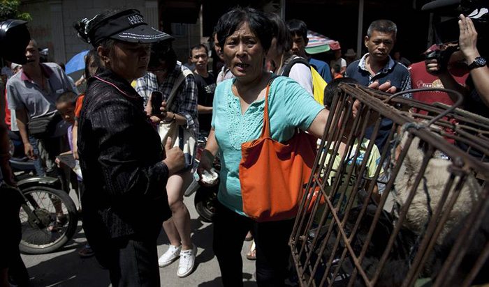 The woman trying to shut down Yulin’s Dog Meat Festival