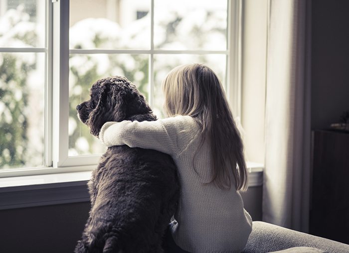 Can raising your children with dogs support their mental wellbeing?