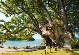Stay in a treehouse at Hideaway Paradise Beach Bungalows
