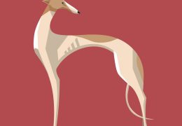 Greyhound dog minimalist image