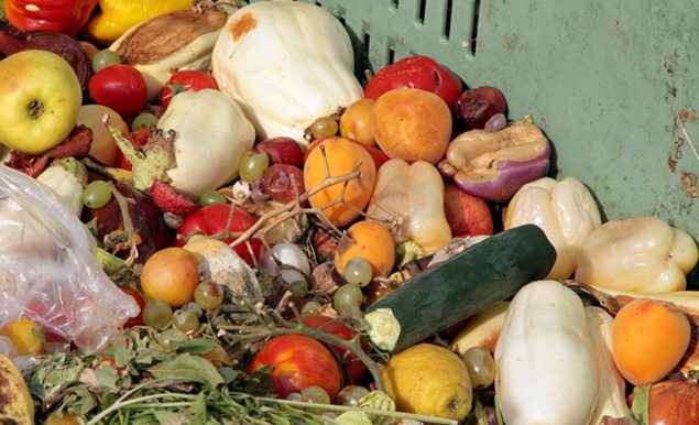 France becomes first country to ban supermarket food waste