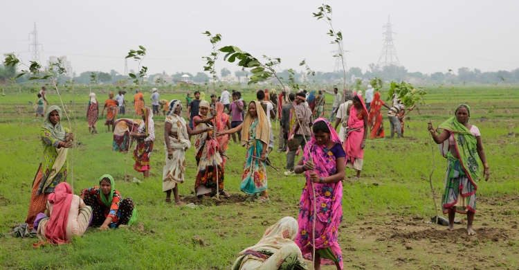 Planting saplings on the outskirts of Allahabad, India on Monday July 11 2016. Image credit: Rajesh Kumar Singh/Press Association Images