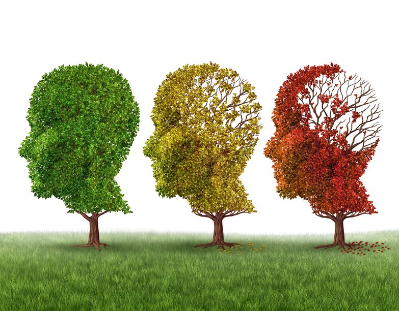 Breakthrough Alzheimer’s drug trial makes headlines