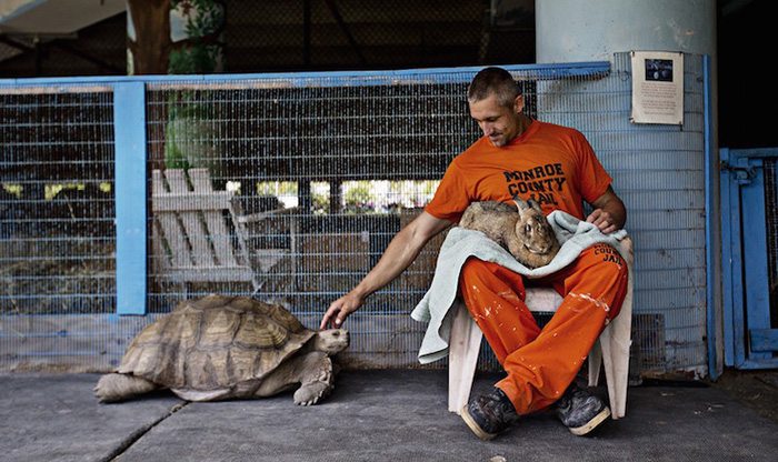 Inmate Michael Smith cradles Thumper, a flemish giant rabbit, as Fat Albert, a giant tortoise who roams the farm, waddles over looking for attention. Hundreds of people stream through the zoo at the Stock Island Detention Center, which is completely funded by donations and community support. No tax dollars go to fund the project. Photo and caption by Kim Raff