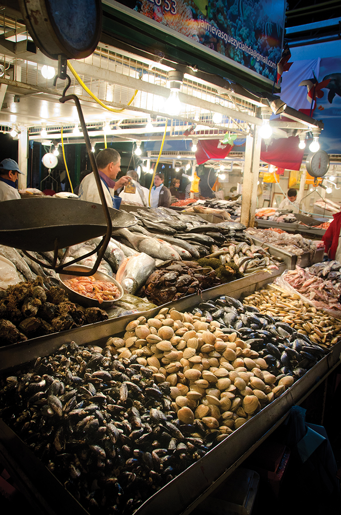 Seafood markets, Santiago, Chile