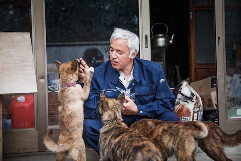Heroic man braves Fukushima’s radiation to feed animals in the exclusion zone
