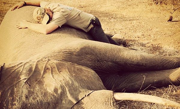 Prince Harry shares this photo of him with a sedated elephant during his summer tour of Africa. Photo: Kensingtonroyal/Instagram