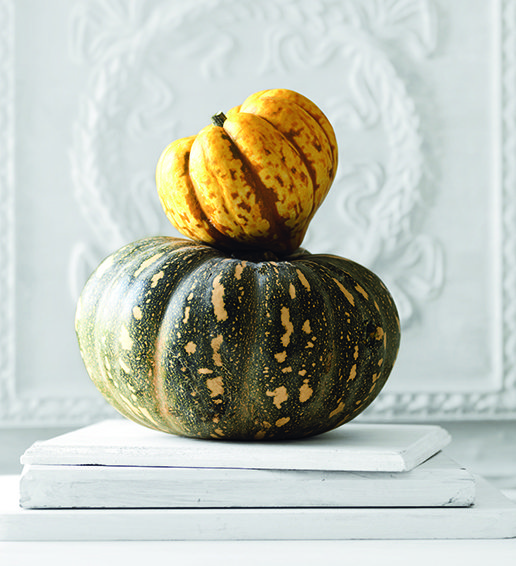 Tips & Tricks for Pumpkins