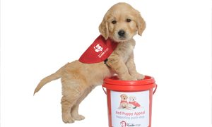 The New Zealand Blind Foundation’s Red Puppy Appeal March 27-28