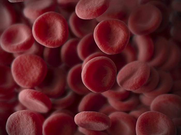 Scientists Discover Way To Produce Red Blood Cells