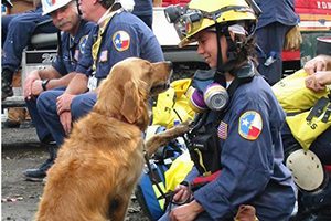 A fitting celebration for last known surviving rescue dog from 9/11