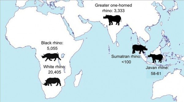 RhinoMapUpdated_large