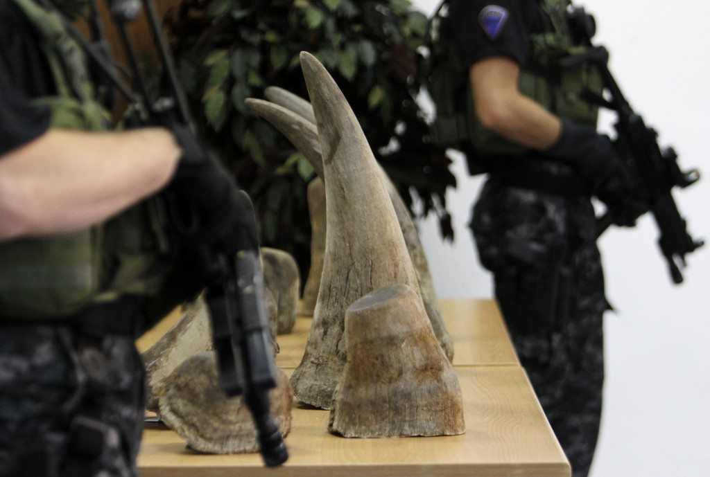 Police officers stand guard next to a part of a shipment of 24 rhino horns seized by the Customs Administration of the Czech Republic during a news conference in Prague July 23, 2013.   REUTERS/David W Cerny