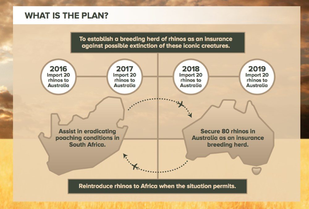 Image: The Australian Rhino Project.Org