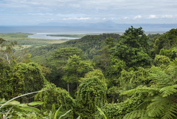 Winter escapes: Daintree National Park, Cape Tribulation, Australia