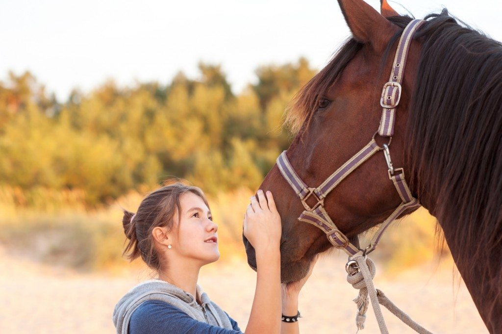Study proves horses perceive human emotions