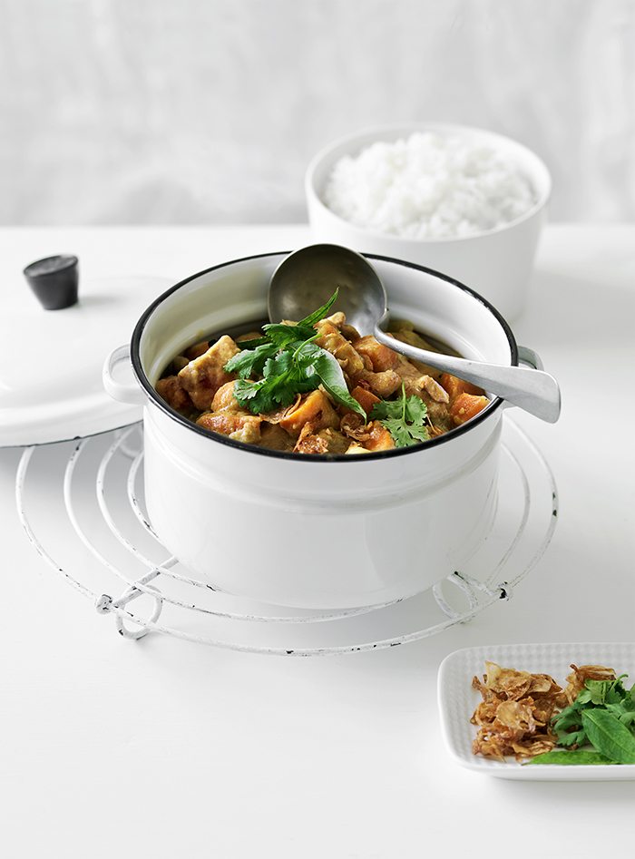 Vietnamese Chicken and Vegetable Curry