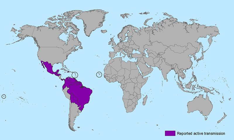 Countries and territories with active Zika virus transmission Image: CDC