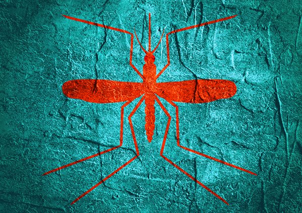 Zika Update: Is abstinence the answer?